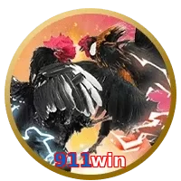911win