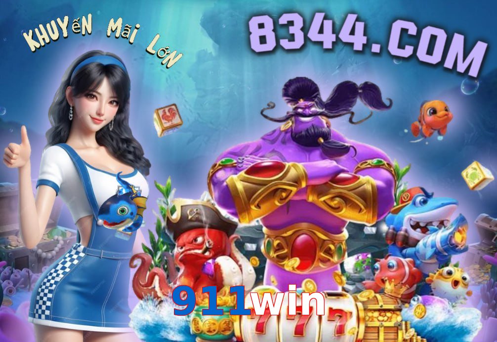 911win